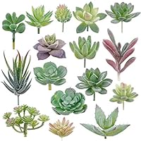 Algopix Similar Product 18 - Augshy Artificial Succulents 16 Pack