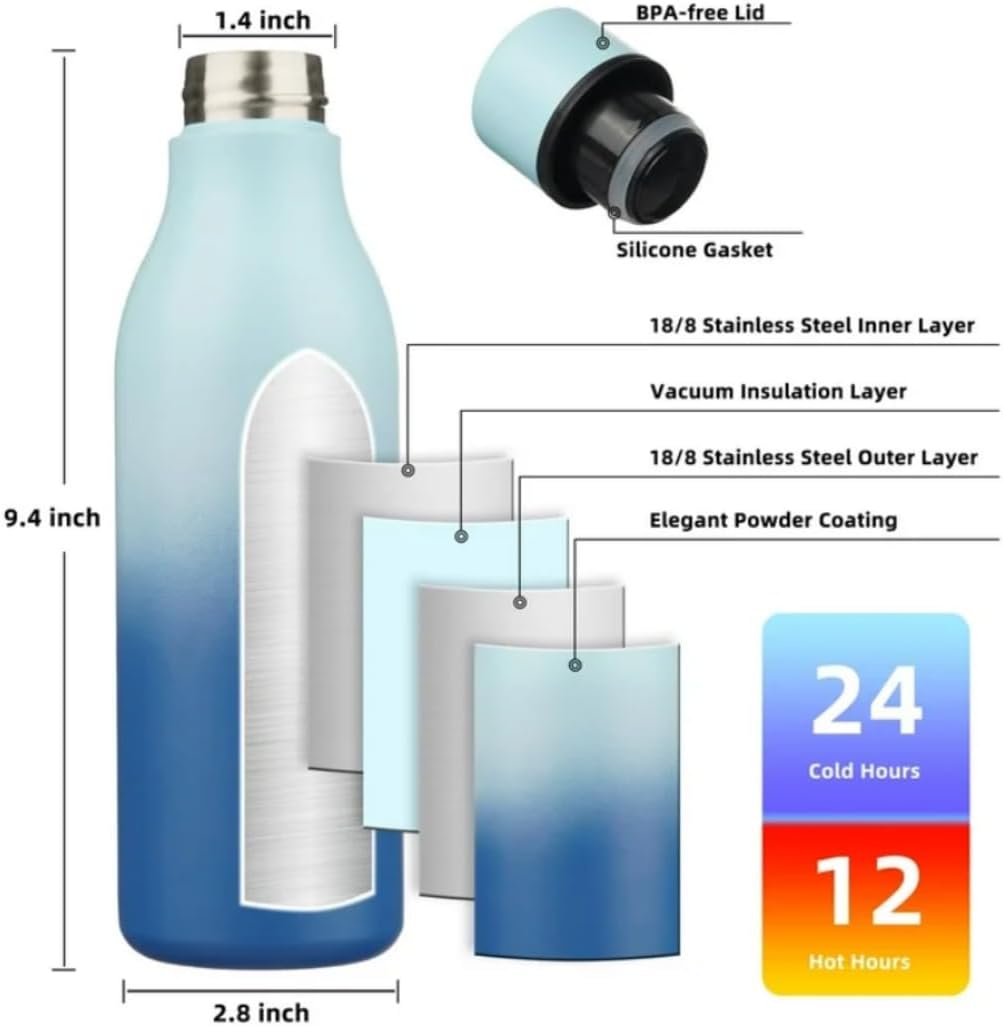 Insulated Stainless Steel Water Bottle with Strap, 18oz – Sky