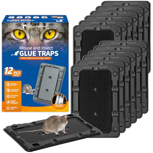 Lulucatch Mouse & Insect Glue Traps cover