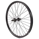 Achslänge: 160mm / Inkl. 2 Muttern / Einbaubreite: 100mm