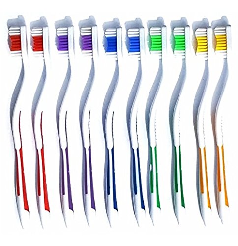 Online Best Service 1000 Toothbrushes Lot Wholesale Standard Classic Toothbrush 1000 Pack