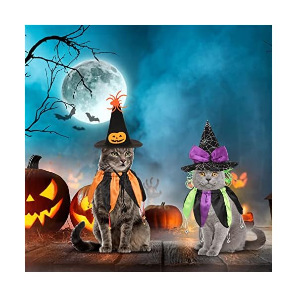 4 pcs halloween cat witch costumes witch cat hats and collars with bells funny wizard costumes cat halloween apparel accessories for small dogs and cats halloween party cosplay decorations supplies - image 8