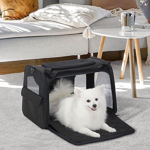 Petsfit Transportbox Katze Hund faltbar Transporttasche Hundetasche für Katzen Hunde, Hochwertige Tragetasche Hund Katze mit Schultergurt und weiches expandierbare Kissen, groß