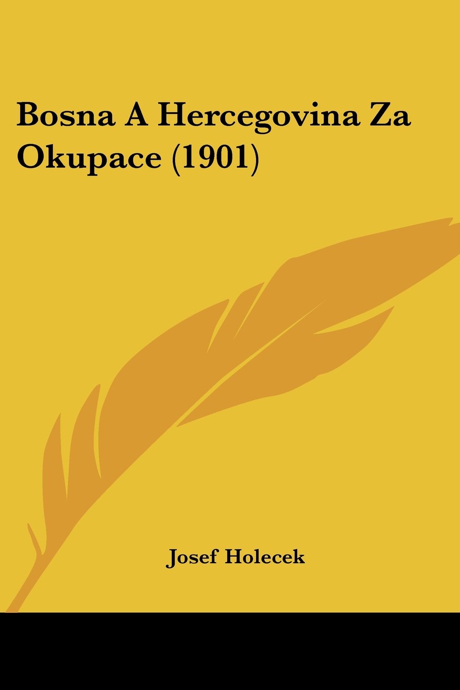 Bosna a Hercegovina Za Okupace (1901)