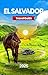 El Salvador Travel Guide 2025: Heart of Central America,History, Culture,Adventure,Mayan Ruins,Festivals like Fiesta Agostina And Semana Santa. (EXPLORE TRAVEL GUIDE Book 17)