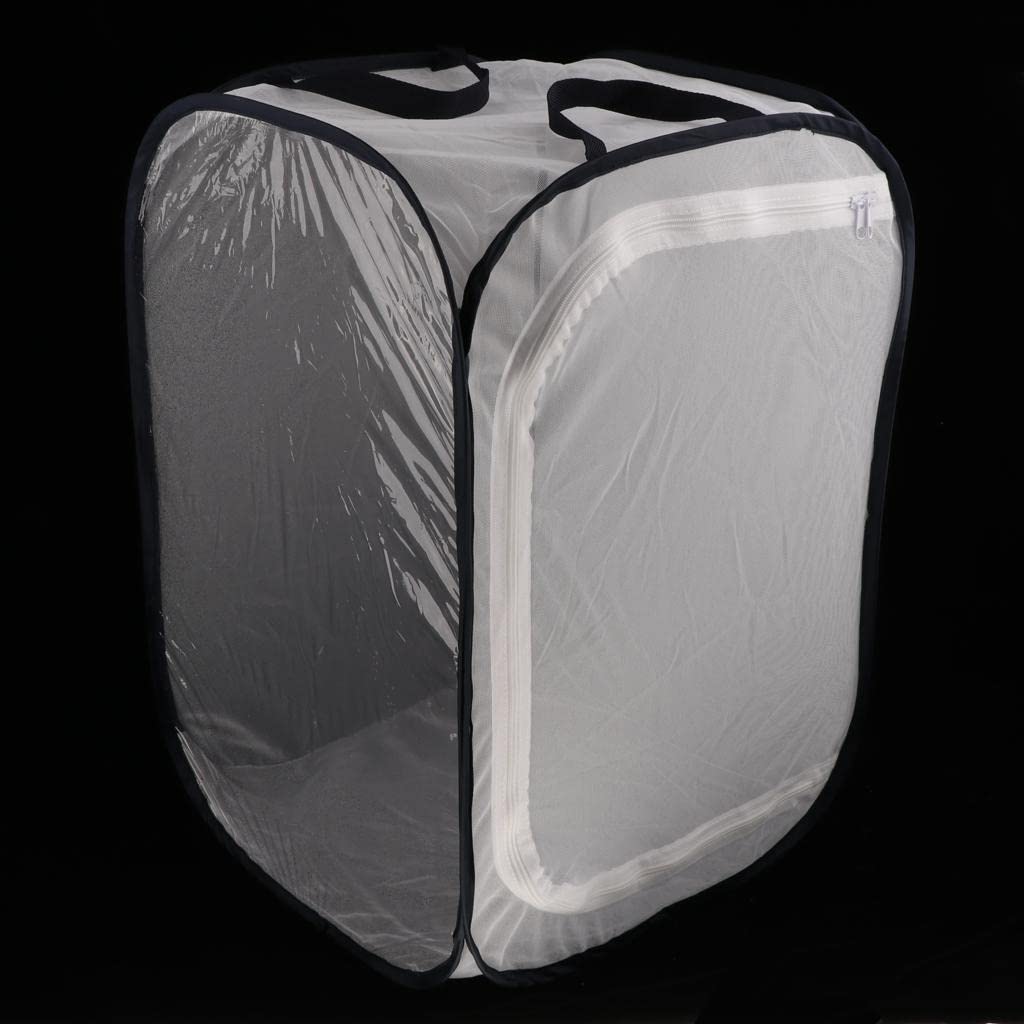 Faltbarer Schmetterlingskäfig mit Transparenter PVC Folie, Faltbares Terrarium Und Schmetterlingsnetz, Blau + Weiß, 40x40x60cm