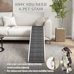   PawHut-Dog-Ramp-for-Bed-Couch-Pet-Ramp-with-Non-Slip-Carpet-Platforms-for-Small-Medium-Large-Older-Dogs-Cats-Indoor-Use-74-x-16-x-25-White