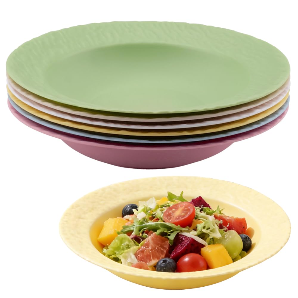 duisoad 6 Pieces Pasta Bowls Set, Plastic Plates Reusable Unbreakable Plastic Plates for Pasta, Salads, Desserts, Picnics