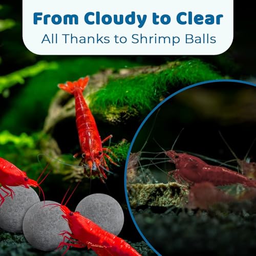 Image of SunGrow Shrimp Aquarium Decor Balls, Freshwater Tank Ornamental Stones, Shedding Assistance, Tank Enhancement, Ideal for Crayfish, Lobsters, and Snails 0.4 inch, 20 Pcs