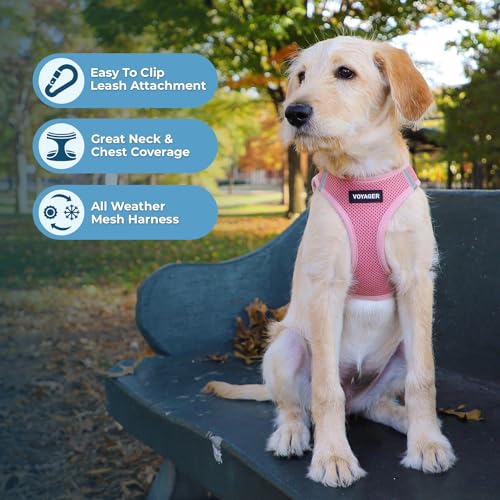 image for Best Pet Supplies Voyager Step-in Air Harness - All Weather Mesh, Refl