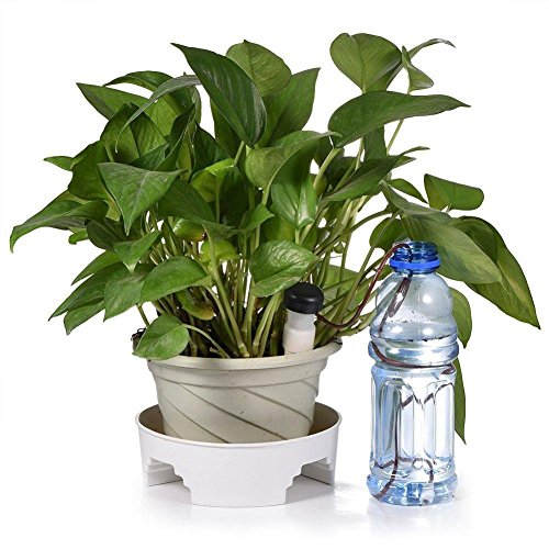 JUSHACHENGTA 8 Pack Automatic Plant Waterers, Plant Watering Devices, Automatic Slow Release Vacation Plant Waterer Slow Release for Outdoor & Indoor Use - Thumbnail 7