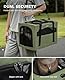 pecute Katzentasche Transporttasche Stabiler Halt Haustier Tragetasche, Transportbox Katze Leicht, Faltbar Katzen Tasche für Katzen und kleine Hunde, ideal für Reisen, Dunkelgrün