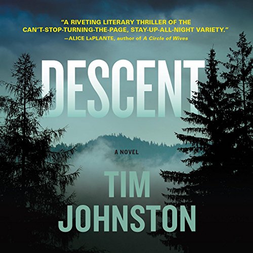 Descent 1622315030 Book Cover