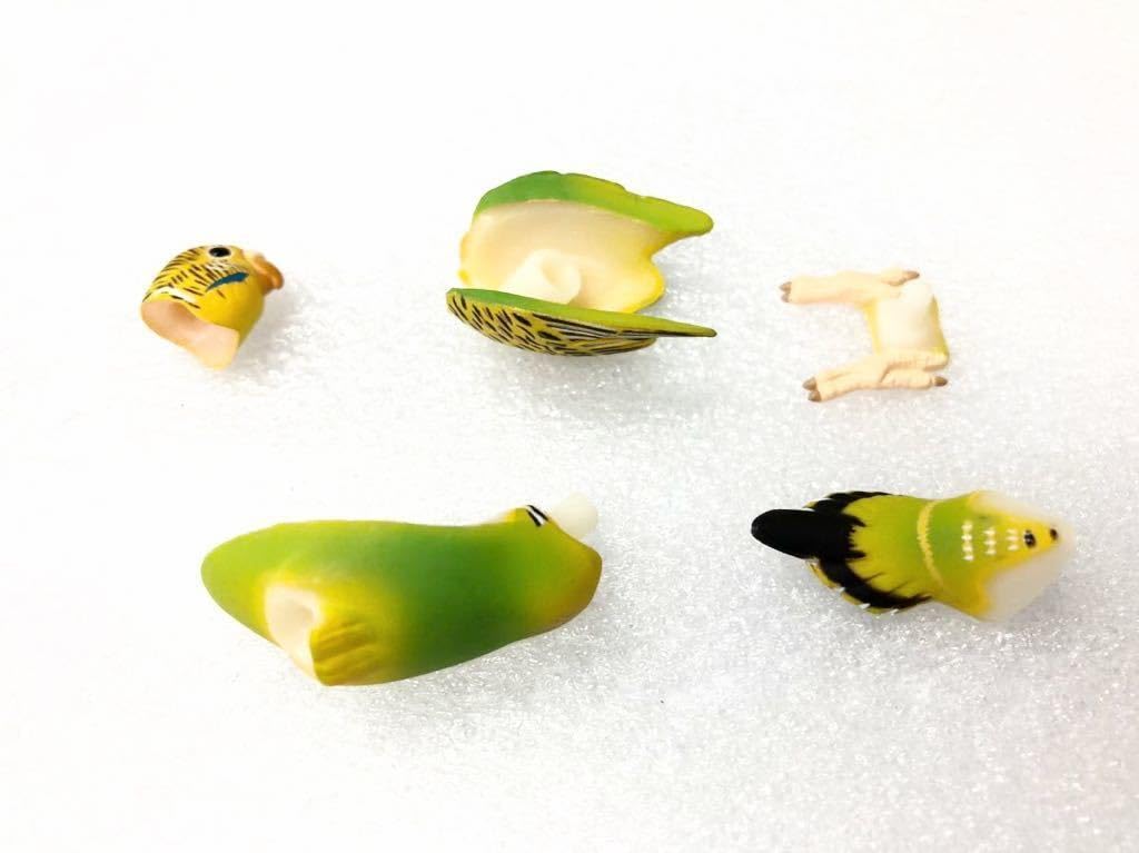 チョコＱ　日本のペット動物　4弾　全３１種 チョコQペット動物4