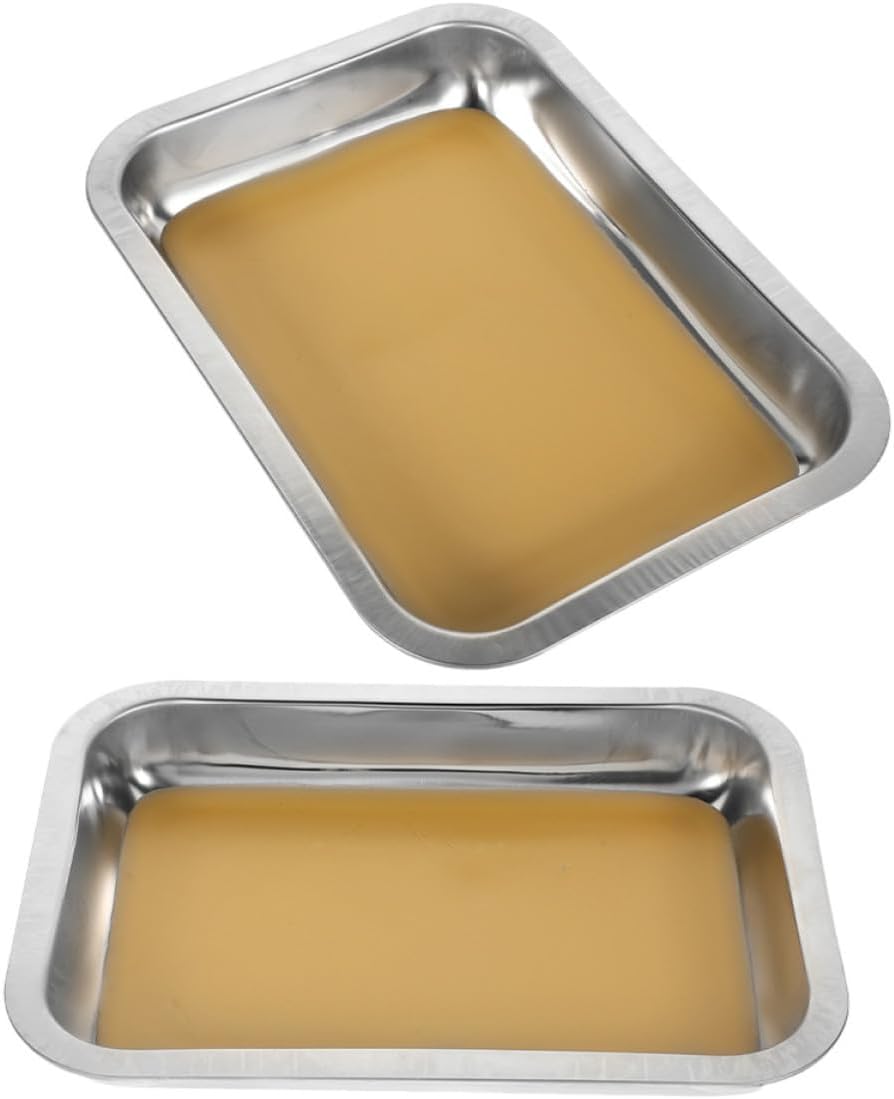 2pcs Wax Coated Stainless Steel Dissection Tray with Flat Stable Base | Khaki Finish, Smooth Surface, 10x7.5 Inch Plate, Teaching Demonstrations