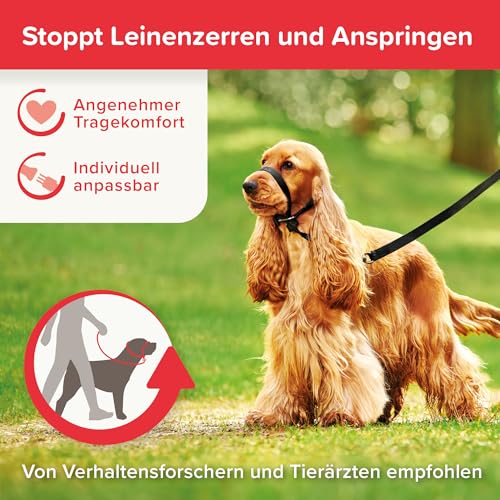 BEAPHAR - Gentle Leader® - Hundehalfter Für Mittelgroße Rassen - Aus Nylon - Trainingshilfe Zur Kontrolle Und Führung - Von Tiertrainern Empfohlen - Größe M - Schwarz