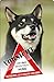 Produktbild +++ SHIBA INU - Metall WARNSCHILD Schild Hundeschild Sign - SBA 08 T3
