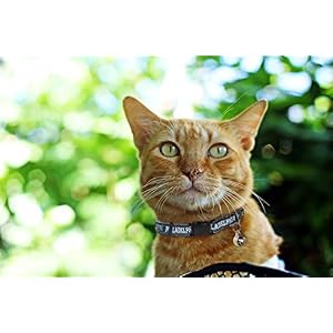 Pets First COLLAR for CATS - NFL PHILADELPHIA EAGLES CAT COLLAR. - Strong & Adjustable FOOTBALL Cat Collars with Metal Jingle Bell Pets First COLLAR for CATS – NFL PHILADELPHIA EAGLES CAT COLLAR. – Strong & Adjustable FOOTBALL Cat Collars with Metal Jingle Bell