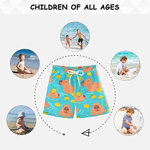 Board Shorts Sea Capybara Fruit Swim Trunks Shorts Bathing Suits Swimwears, L4