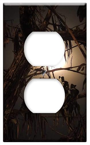 Switch Plate Outlet Cover - Landscapes Field Armenia Quindio Colombia