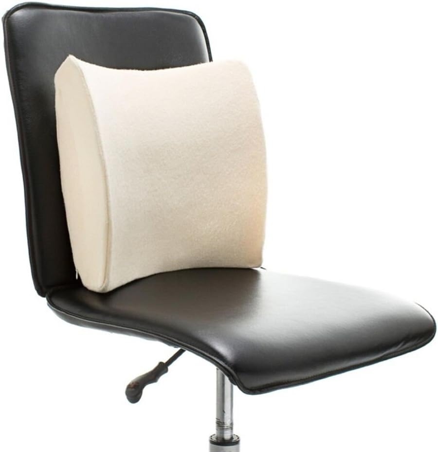 Therapy Lumbar Memory Foam Cushion Support Pillow with Velour Cover