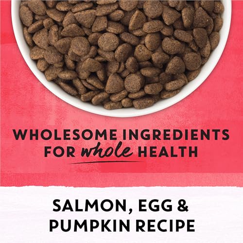 Beyond Superfood Blend Dry Cat Food, Salmon, Egg & Pumpkin 10.2kg by Beyond - Image 7