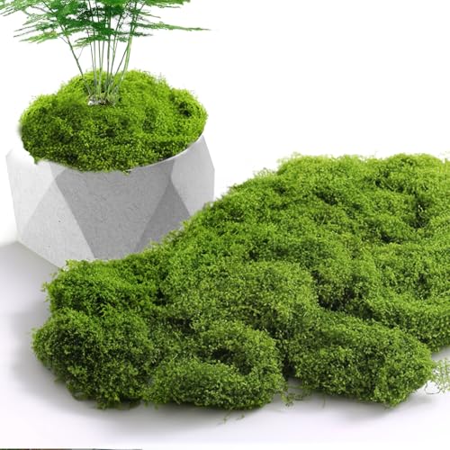 SWTYExt Kunstmoos zum Dekorieren 160g Kunstmoos Künstliches Moos Deko Konserviert Moos zum Basteln Kunst Moos Fake Moos für Aquarium Moos Mooskränzen Hochzeiten Weihnachten Neujahr Heimdekoration