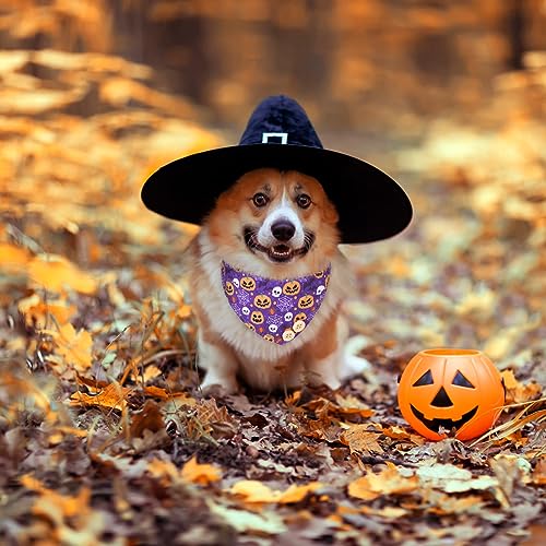 Image of EXPAWLORER Halloween Dog Collar and Leash Set - Dog Bow Tie and Dog Bandana Collar with Bell, Dog Leash Tangle Free, Adjustable Collars for Small Medium Large Dogs Cats, Holiday Ideal Gift for Pets