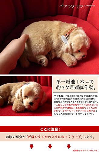 Amazon.co.jp: ニニアンドキノ パーフェクトペット (小サイズ