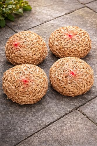 Barley Straw for Ponds Natural Algae Control 100% Chemical-Free Safe for Fish Long-Lasting up to 4 Months Pack of 4