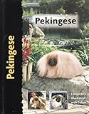 Pekingese (Pet love)