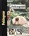 Pekingese (Pet love)