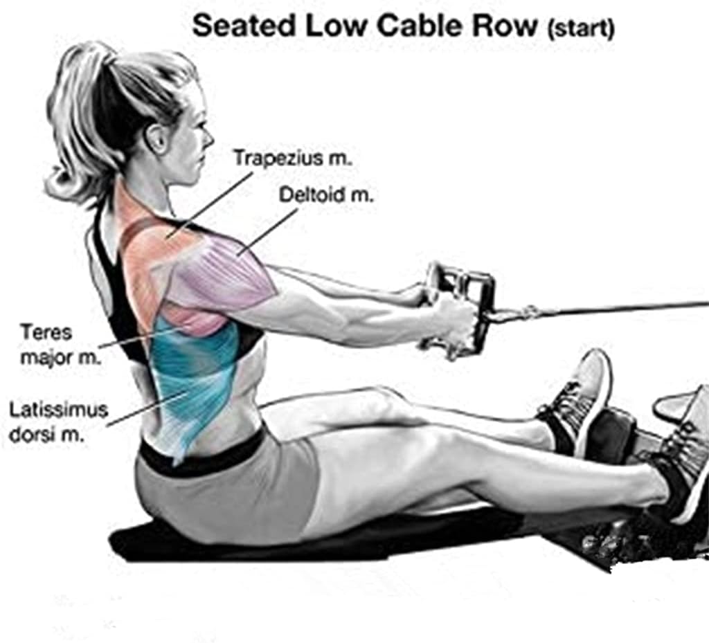 V Shaped Press Down Bar Multi Gym Lifting Workout V-Bar 360°Rotating Rowing Machine Bar Pully Cable Attachment