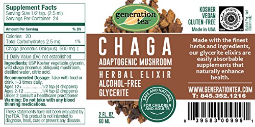 Chaga Herbal Elixir Alcohol Free Glycerite 2 Oz. Liquid #TOP2