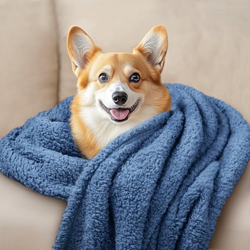Image of Luciphia 1 Pack 3 Calming Dog Blanket Fluffy Premium Fleece Pet Blankets Soft Sherpa Throw for Dogs Puppy Cat Haze Blue Small (23 inch x16 inch)