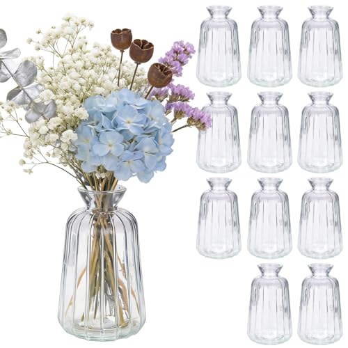 Otauoaea Lote de 12 Mini Jarrones de Vidrio, Set de Vasos