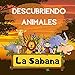 Descubriendo Animales - La Sabana: Explora La Sabana | Libro de Adivinanzas para Preescolares | Niños de 2 a 5 Años | Actividad Divertida Rompecabezas | Encuentra Animales y Aprende Números