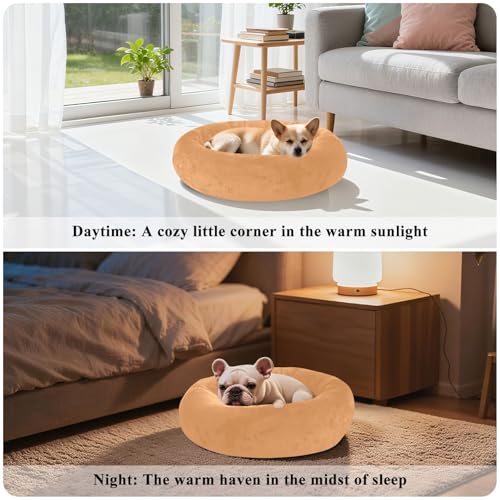 Lit d'hiver pour chiot compact taille S marron sable contre le sol froid