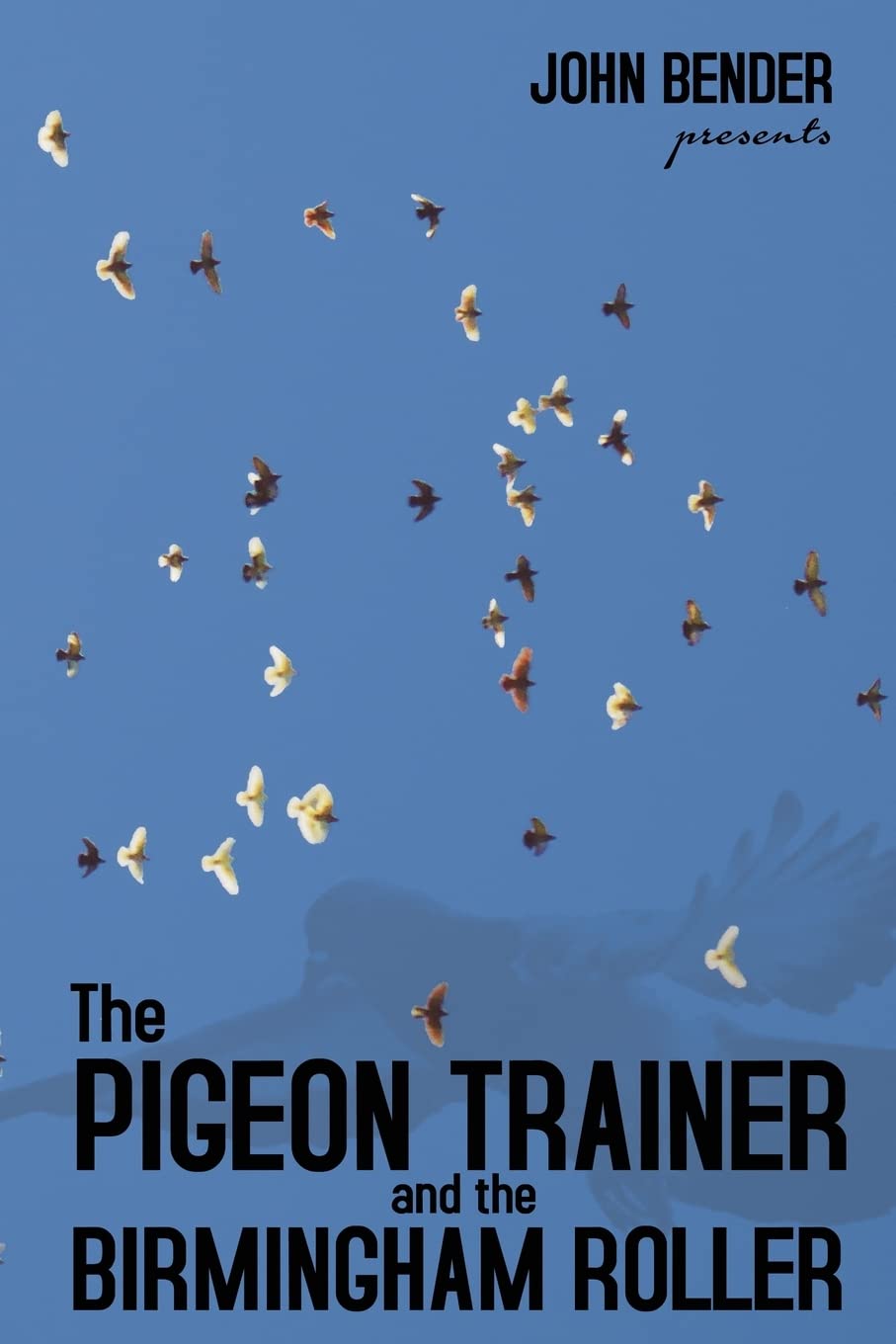 The Pigeon Trainer and the Birmingham Roller