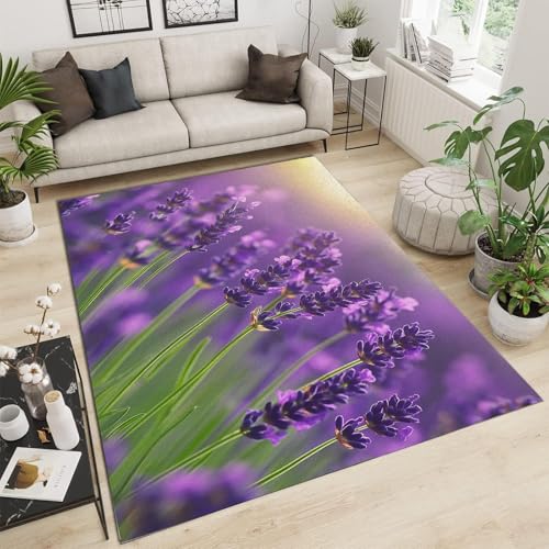 Tapis de sol lavande 3D moderne lavable pour salon et chambre