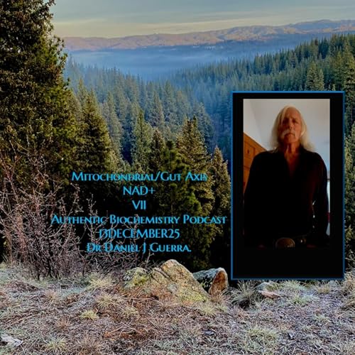 Mitochondrial/Gut Axis NAD+ VII Authentic Biochemistry Podcast 13DECEMBER25 Dr Daniel J Guerra. Podcast Por  arte de portada