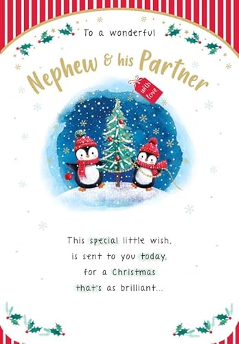Christmas Card, To a Wonderful Nephew & Wife Description - 9 x 6 inches - Piccadilly Greetings