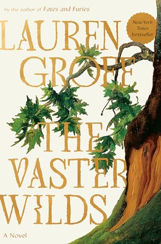 VASTER WILDS: A Novel view 2