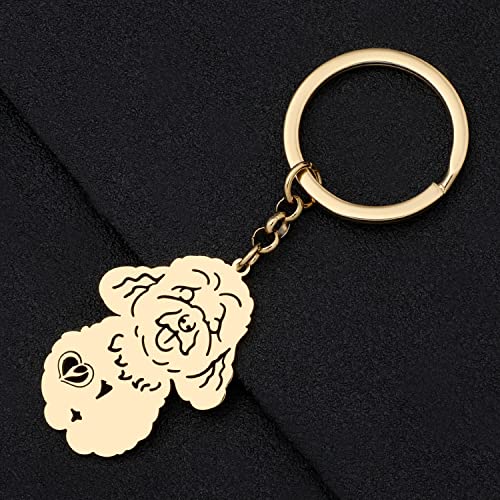 NEWEI Edelstahl Hund Schlüsselanhänger Cute Pet Hund Schlüsselanhänger für Frauen Mädchen Geldbörse Autoschlüssel Charms (Gold Plated Pudel)