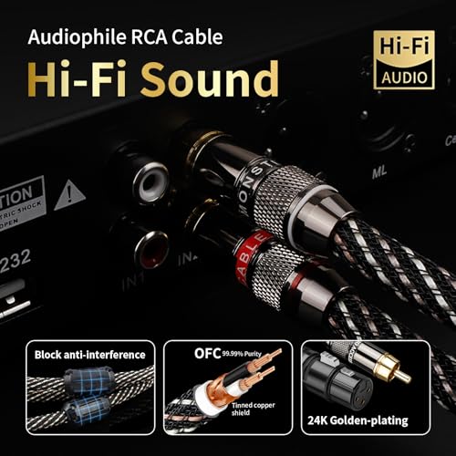 Cable de audio para subwoofer en amplificadores de salon 6