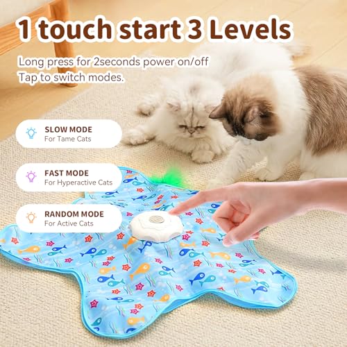 Cat Toys for Indoor Cats, Rechargeable Interactive Cat Toy with Touch-Activated Hide and Seek, Fluttering Feather and Mouse Squeaker for Bored Indoor Adult Cats, Blue - Image 3