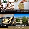 ATERET 1/2 inch x 600 feet Twisted Manila Rope, 3 Strand Natural Fiber ...