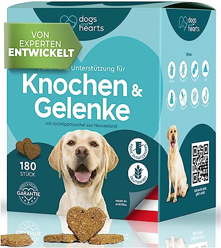 Petfokus Agility Complete – Die 15 besten Produkte im Vergleich ...