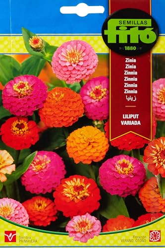 SEMILLAS FITO ZINNIA - LILIPUT VARIADA
