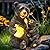 GIGALUMI Solar Garden Statues Loving Bear Figurine Lights for Outside, Yard Decorations Outdoor, Garden Decor Unique Birthday Housewarming Gifts for Mom, Women, Black